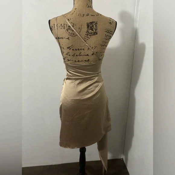 BABYBOO Avery Mini Dress Champagne Size XS - Picture 3 of 12